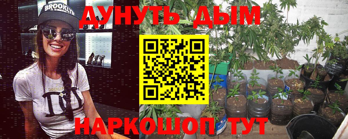 Бошки Шишки Amnesia  Конопля SATIVA & INDICA  Протвино  Вход с VPN  Бошки марихуана VHQ 